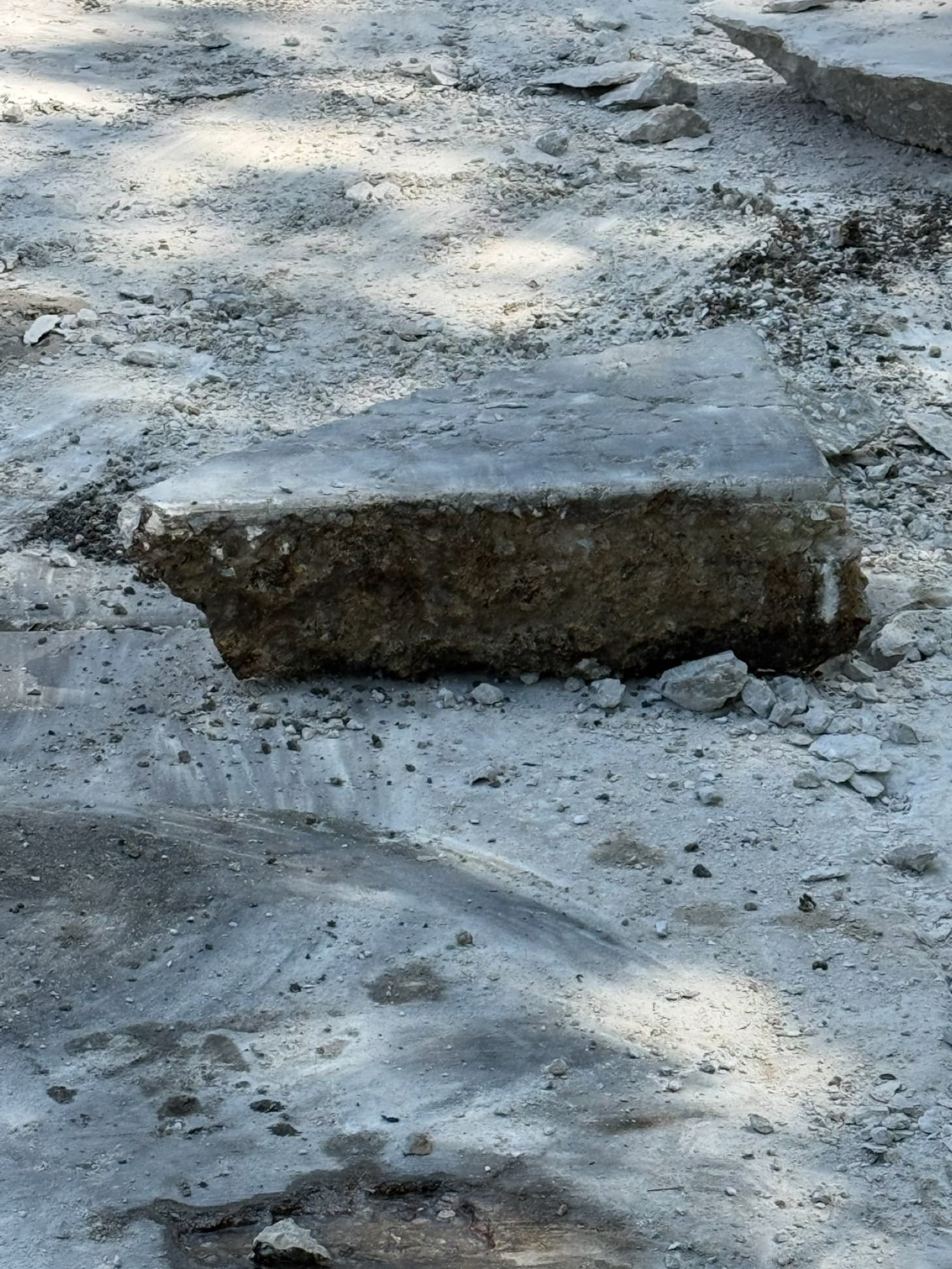 Removal photo from driveway in Country Club Hills, IL